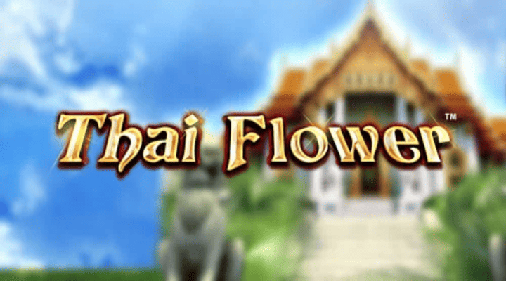 Thai Flower Screenshot 1